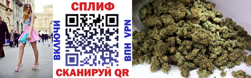 МАРИХУАНА Ganja  Купить  Болотное 